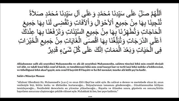 Salaten Tüncina Nasıl Getirilir